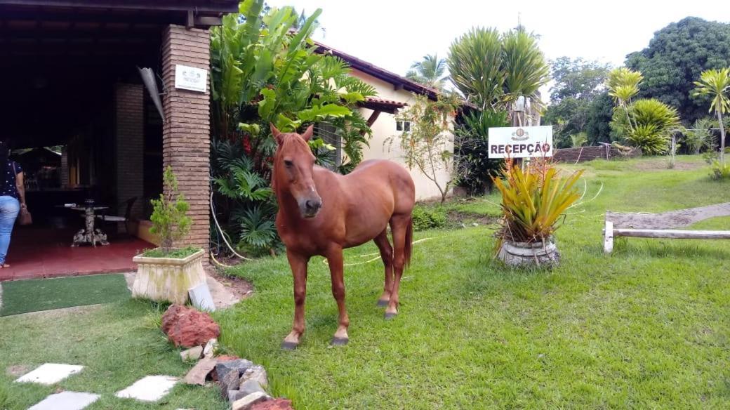 Hotel Fazenda Agua Da Prata Agri Turismo Camaçari Екстериор снимка