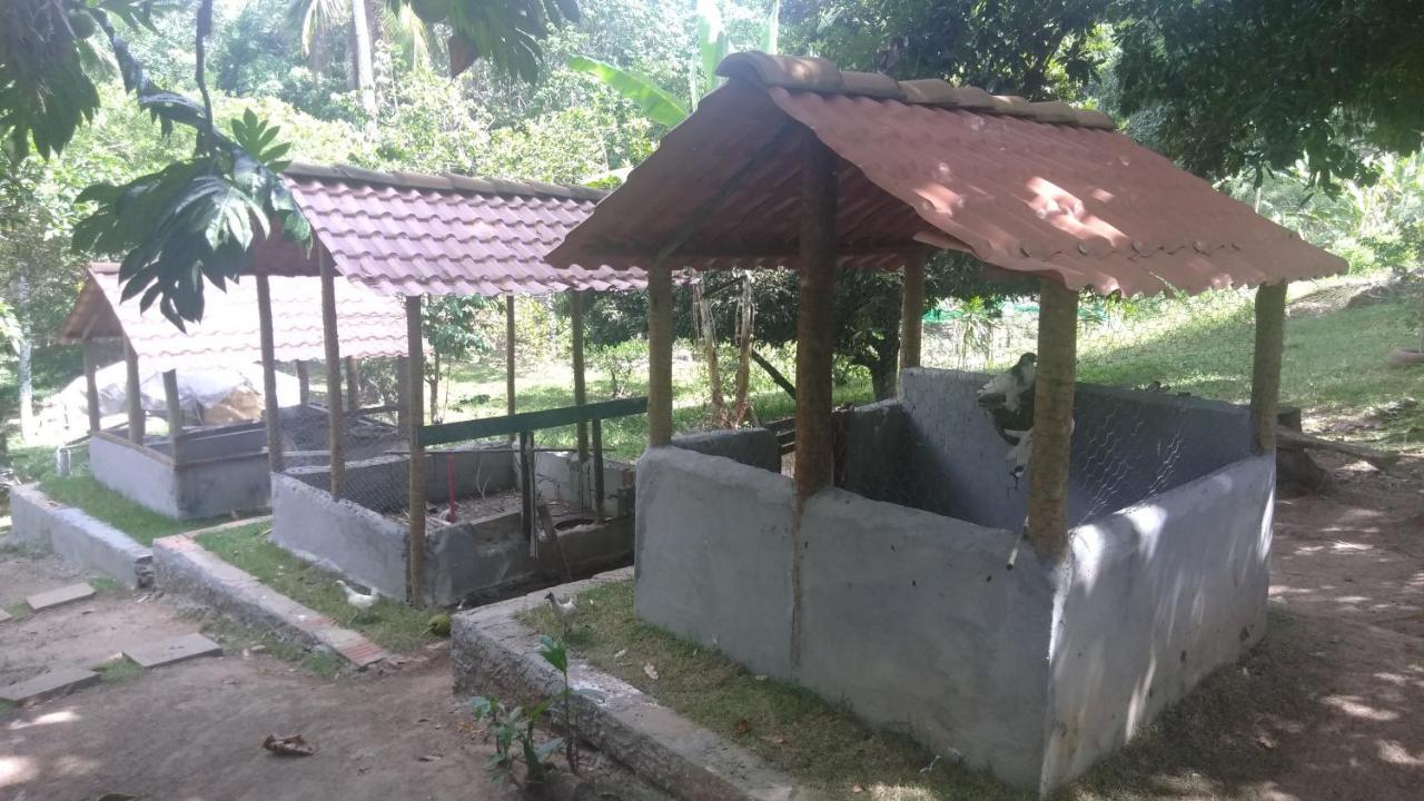 Hotel Fazenda Agua Da Prata Agri Turismo Camaçari Екстериор снимка